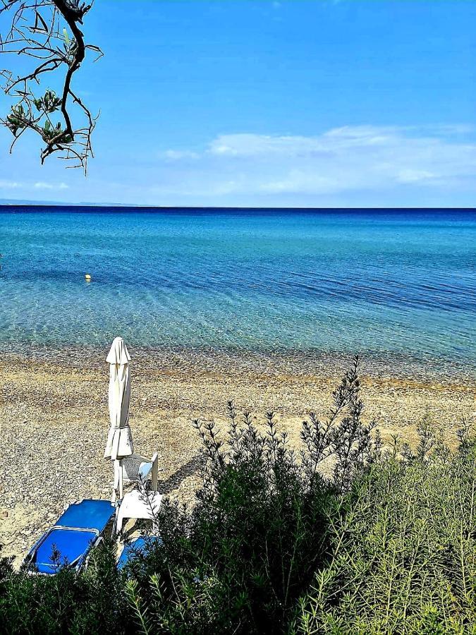 Mare Nostrum Daire Neos Marmaras Dış mekan fotoğraf